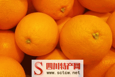 蓬安锦橙