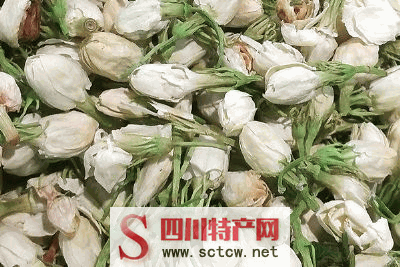 犍为茉莉花茶