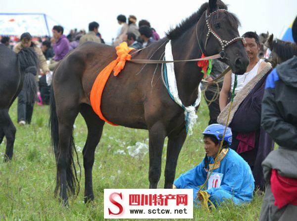 阿坝藏族羌族自治州十大特产