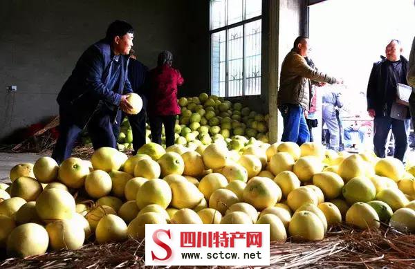 下个月就过年啦！从绵阳回故乡，这些土bob综合体育官方app下载最值得带！