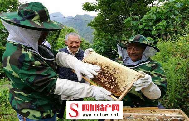 到绵阳旅游不知道买什么土bob综合体育官方app下载？假如有了这十样全部人都开心