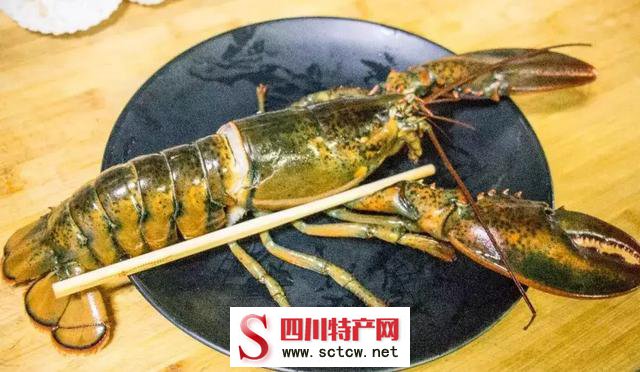 不消出温江，你就能吃遍整个四川的美食！