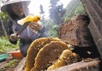 绵阳十大bob综合体育官方app下载排行