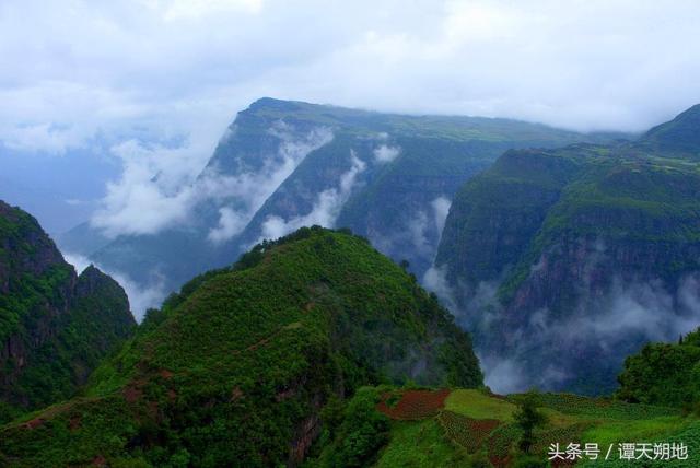 四川名特产之大凉山苦荞