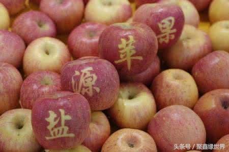 大凉山盐源县bob综合体育官方app下载美食 红心苹果