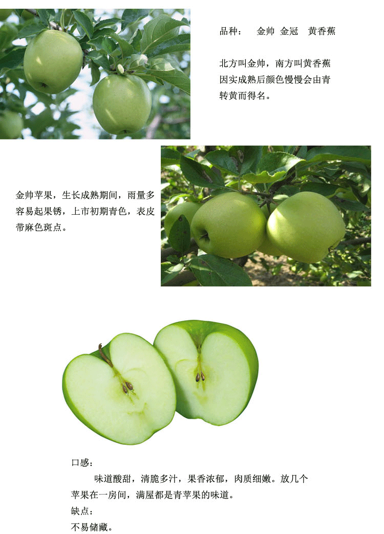 大凉山盐源县特产美食 红心苹果